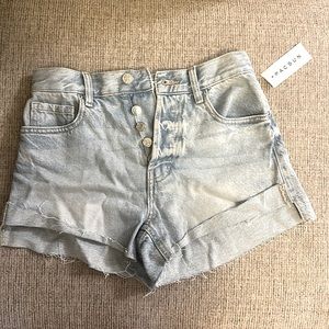 Pacsun Vintage High Rise Shorts
